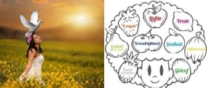 Galacja Studium Księgi